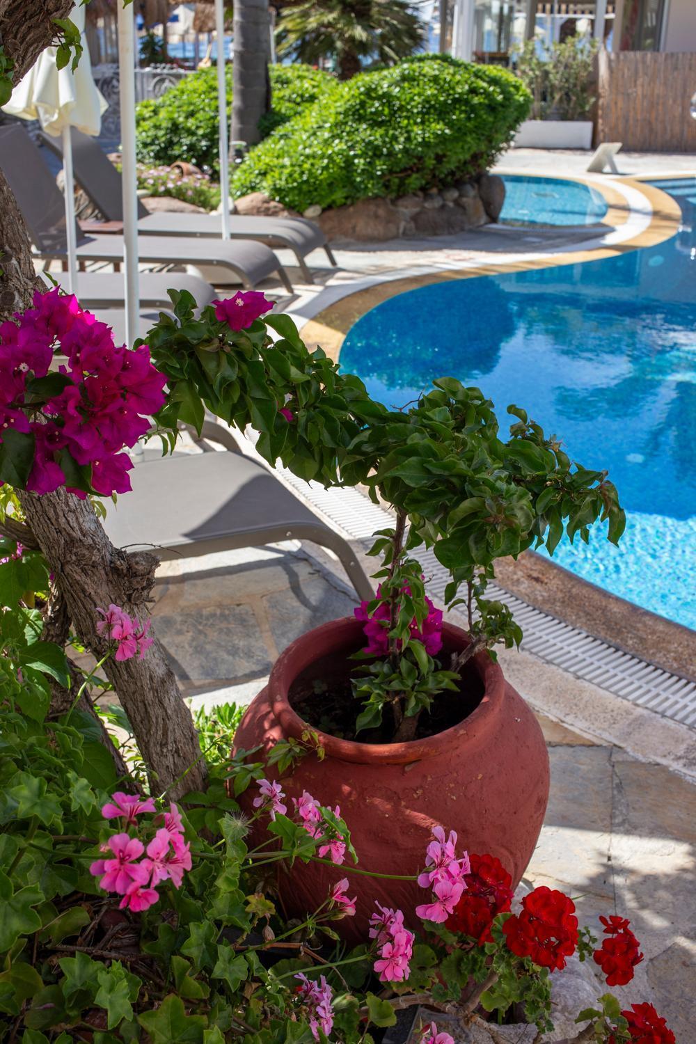 Uzhan Beach Hotel Bitez Exterior photo