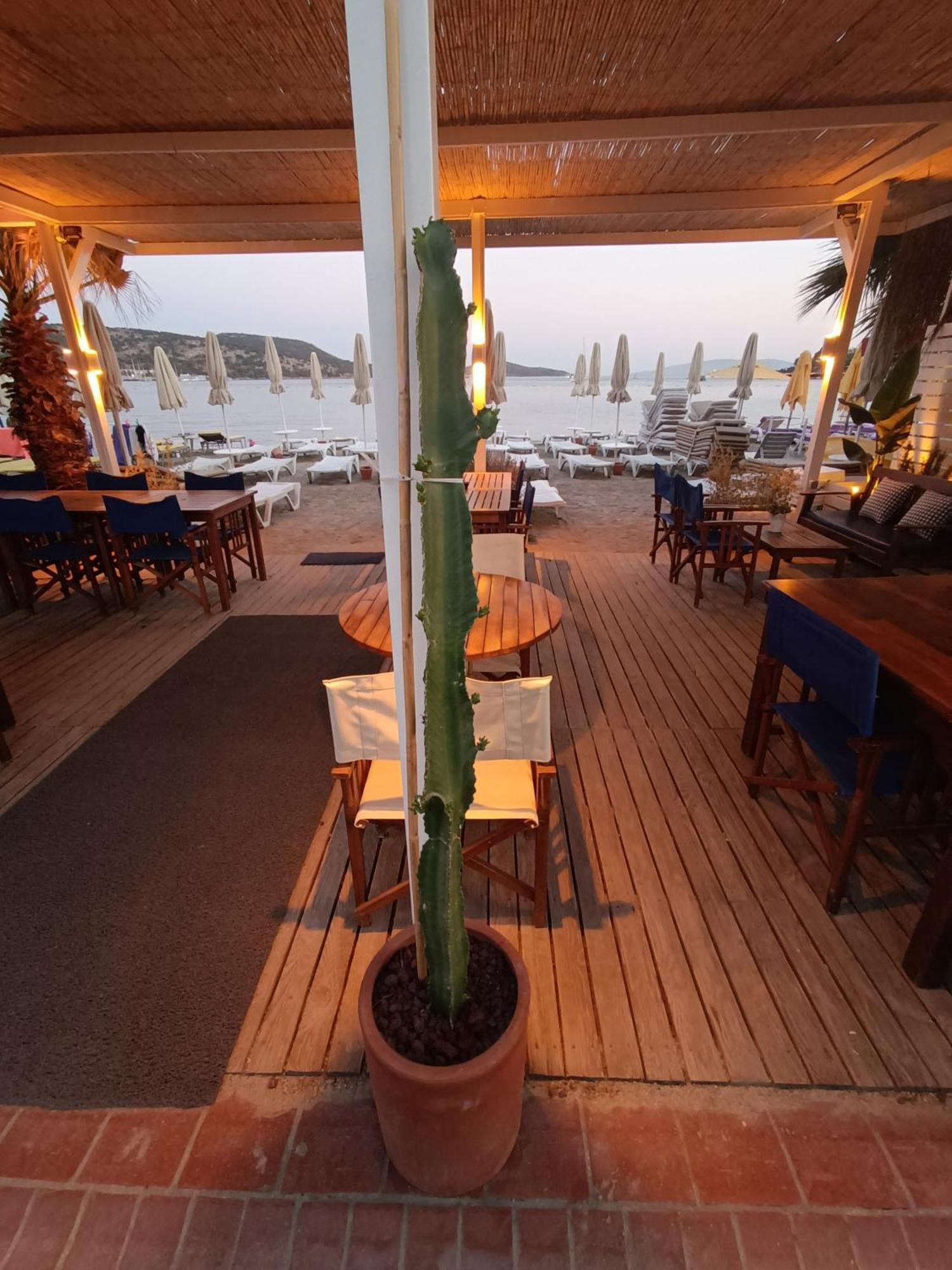 Uzhan Beach Hotel Bitez Exterior photo